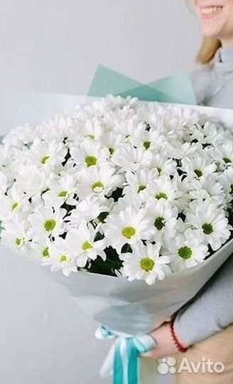 Хризантема Доставка цветов Букеты