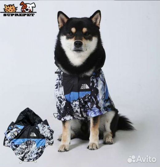 Дождевик-куртка для собак