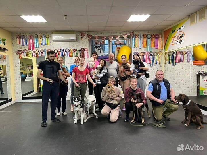 Услуги кинолога, зоопсихолога, дрессировка собак