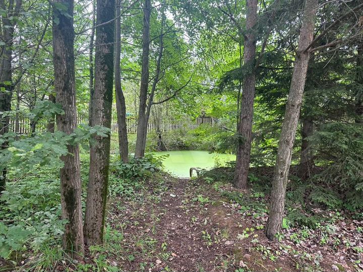 Участок 33 сот. (ИЖС)