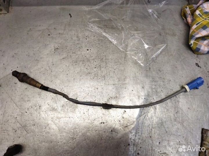 Датчик кислородный Ford Focus 3 хетчбэк 1.6 105