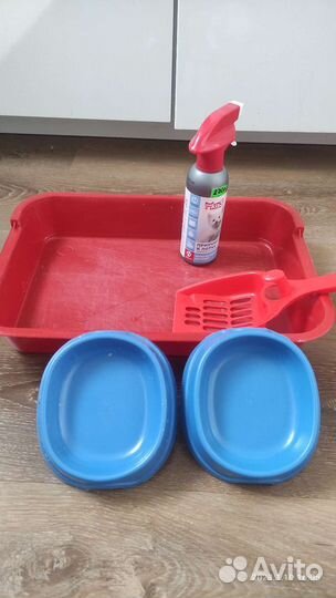 Первый набор для котëнка