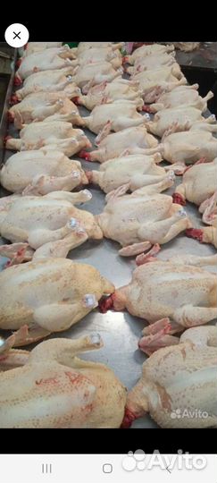Мясо деревенского бройлера (тушки) Опт и розница