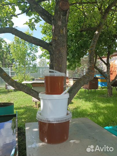 Пчелы с ульями