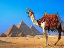 Путешествие Египет 7 дней все включено