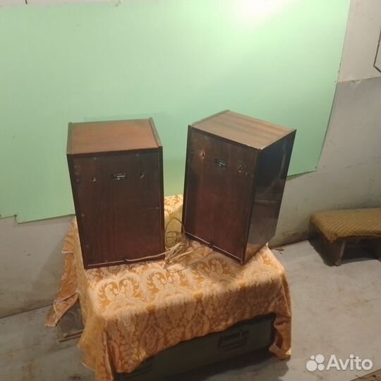 Акустическая система 10мас-1М