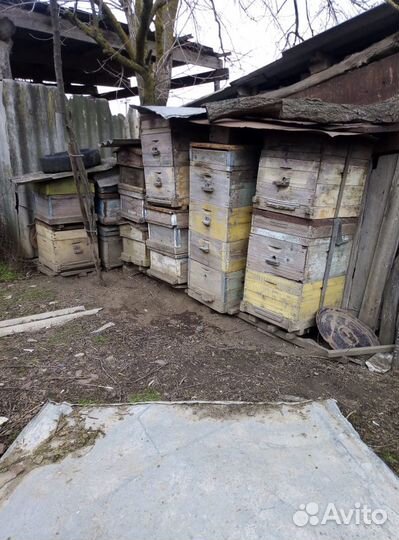 Ульи для пчел