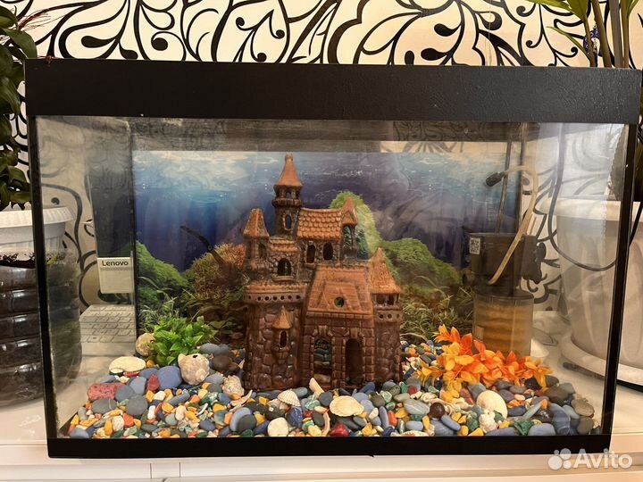 Аквариум (б/у) с фильтром,декором