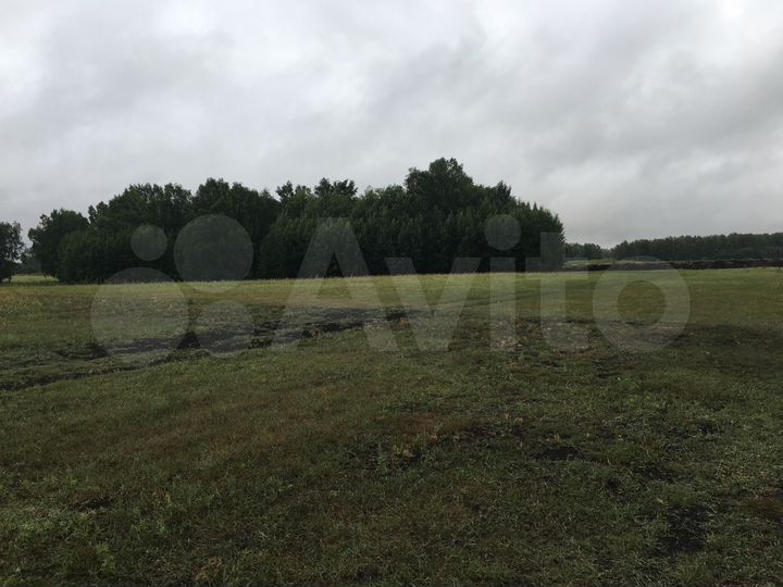 Участок 4,5 га (СНТ, ДНП)