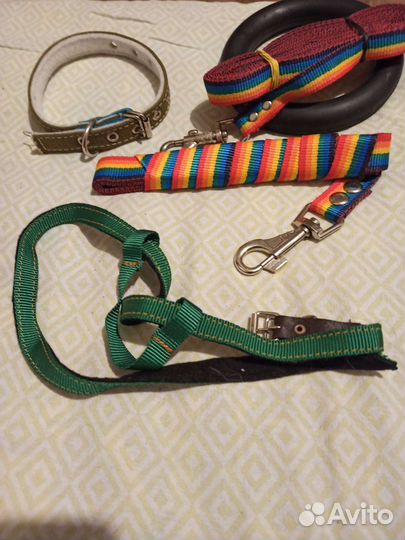 Поводоки цветные, шлейка с поводком