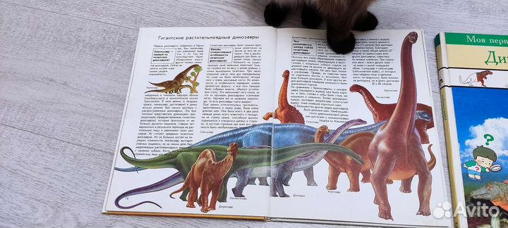 Книги про динозавров