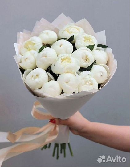 Пионы Цветы Доставка