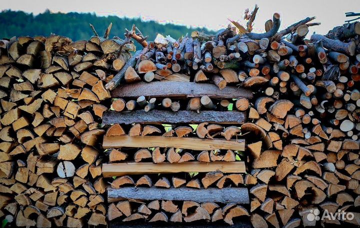 Дрова в Сертолово