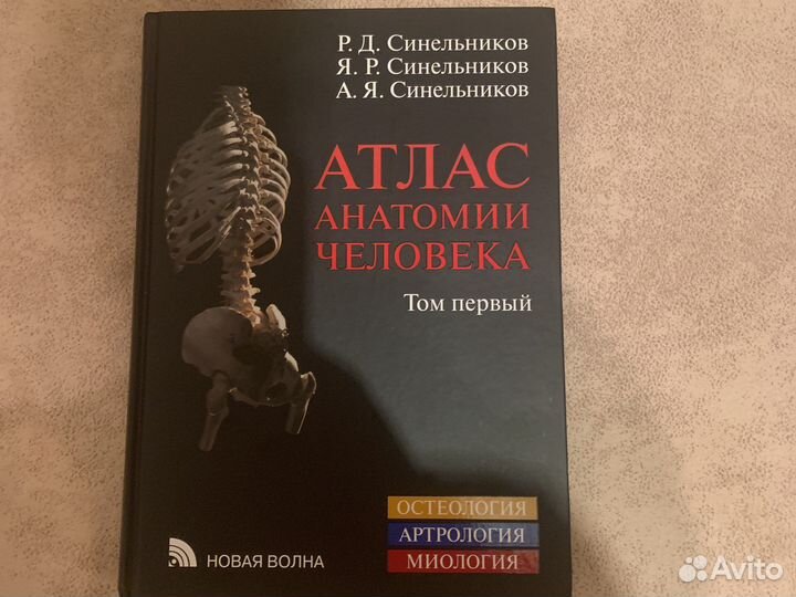 Атлас анатомии человека синельников