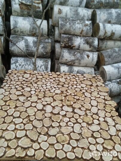 Спилы можжевельника