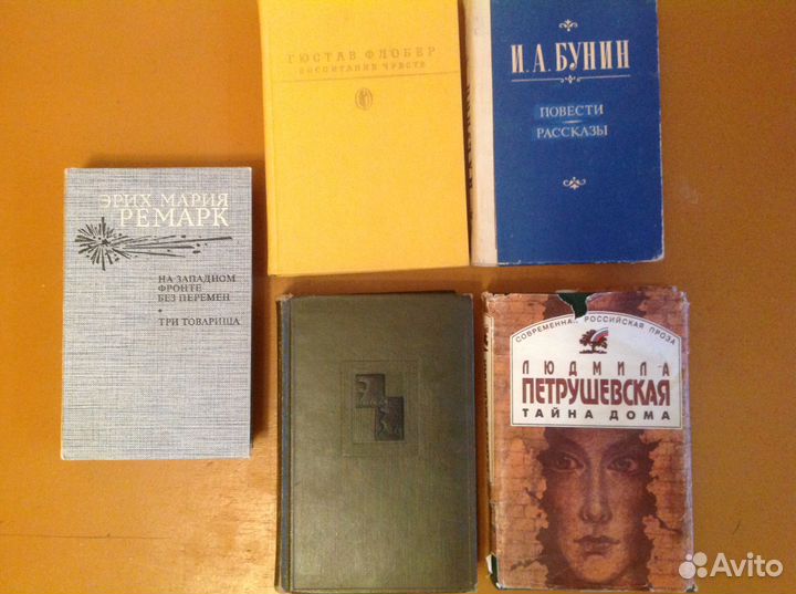 Г.Флобер / Ремарк / Золя / Бунин / Петрушевская