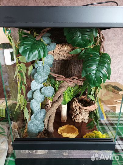 Террариумы под ключ