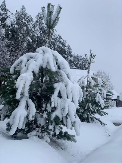 Дом 220 м² на участке 8 сот.