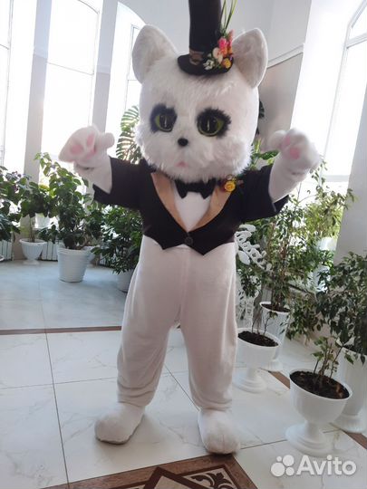 Заяц и Кот - костюм ростовой куклы 2 в одном