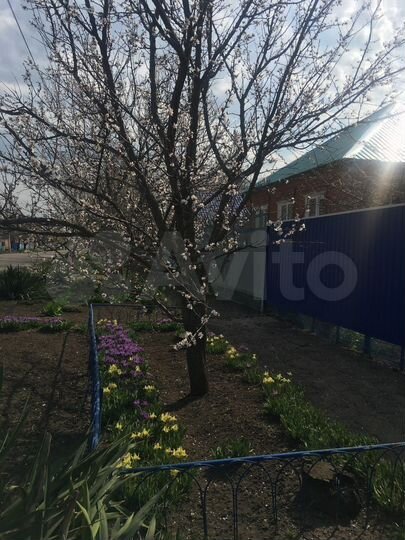 Дом 60,5 м² на участке 10 сот.