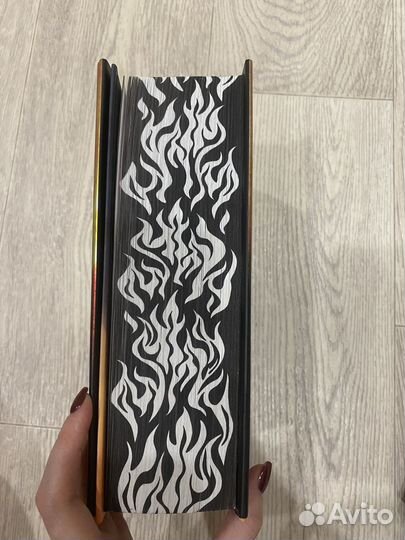 Четвертое крыло железное пламя