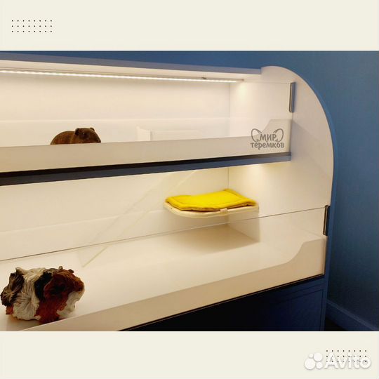 Клетка для морских свинок 100х50х60 см,белый,круг8