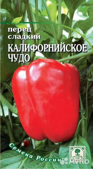 Рассада Перца сладкого под пикировку цена за 1шт
