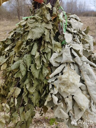 Веники для бани дуб и берёза