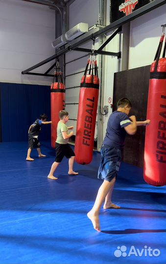 Смешанные единоборства