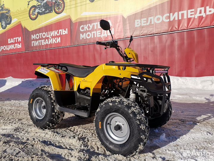 Квадроцикл irbis ATV 250 XE (X-motors edition) птс