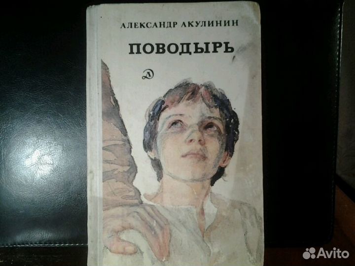Книга Александр Акулинин.