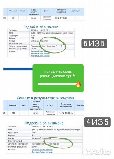 Репетитор по русскому языку ЕГЭ, ОГЭ