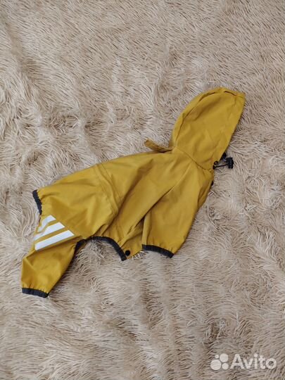 Дождевик для собак мелких пород