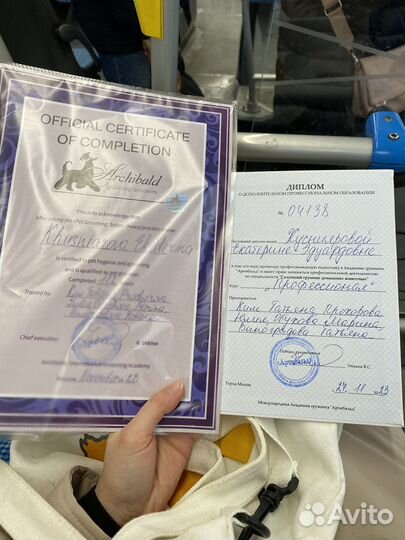 Грумер для собак и кошек