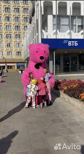 Экспресс поздравление от самых цветных медведей