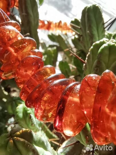 Янтарные бусы