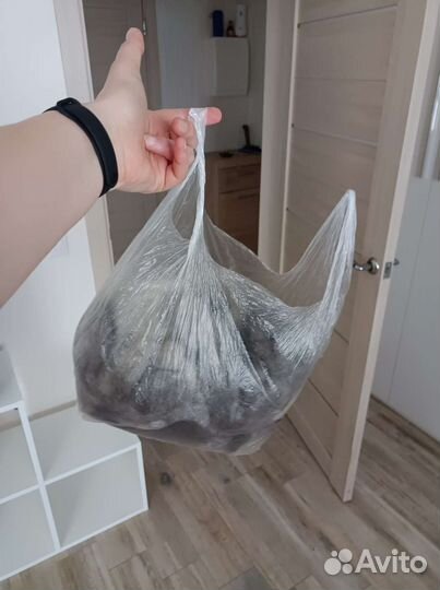 Услуга грумера