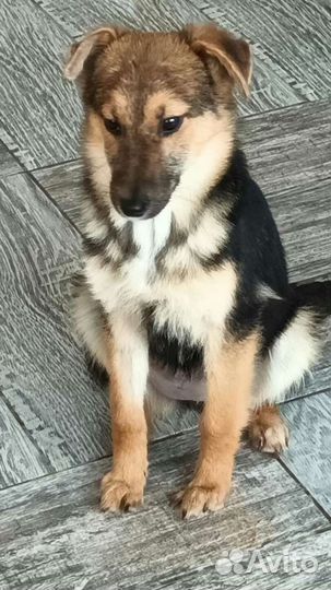 Мегги ждет своего человека