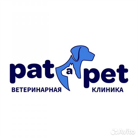 Ветеринарный врач, ассистент ветеринарного врача