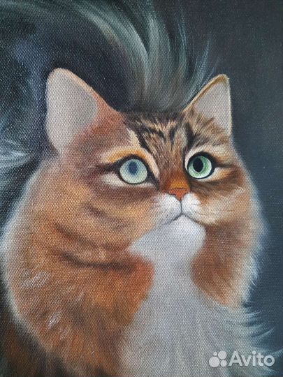 Портрет питомца