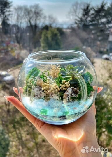Флорариум 