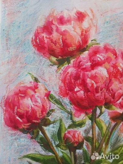 Картина цветы пионы