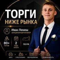 Аукционный брокер. Агент на торги по банкротству, Сергиев Посад