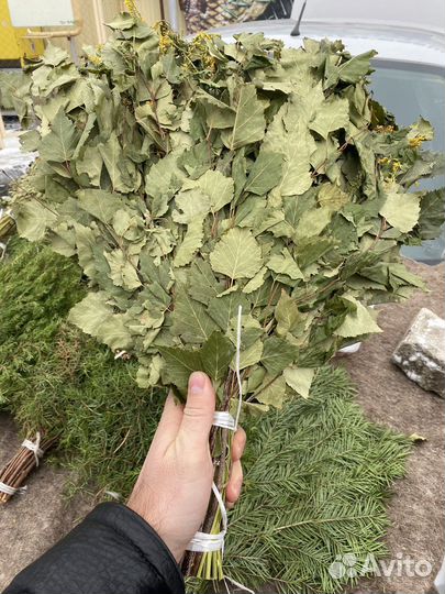 Веники березовые