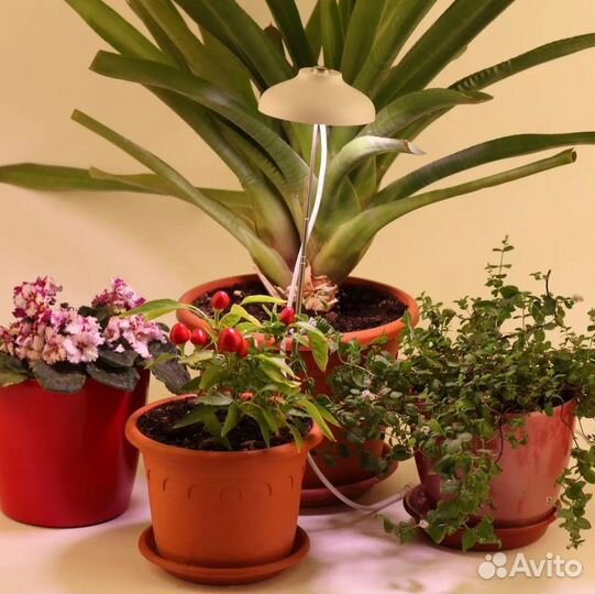 Фитосветильник для растений и рассады светодиодный