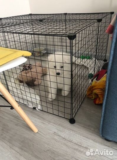 Вольер для собак в квартиру