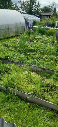 Дача 20 м² на участке 7,5 сот.