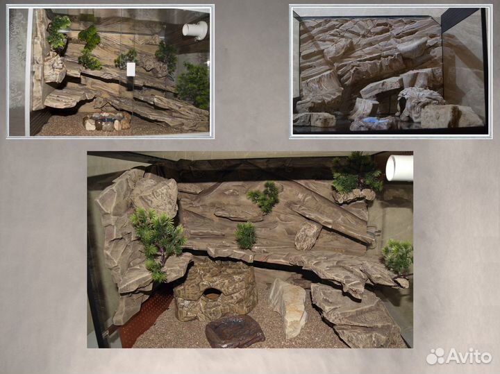 Фон для террариума