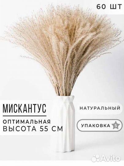 Новая Пампасная трава, Сухоцвет для декора