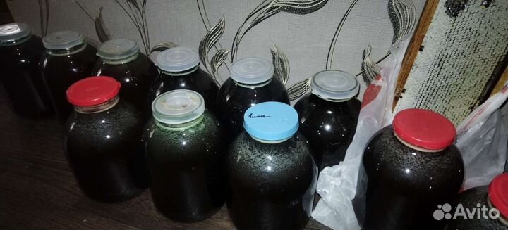 Мед гречишный 2023